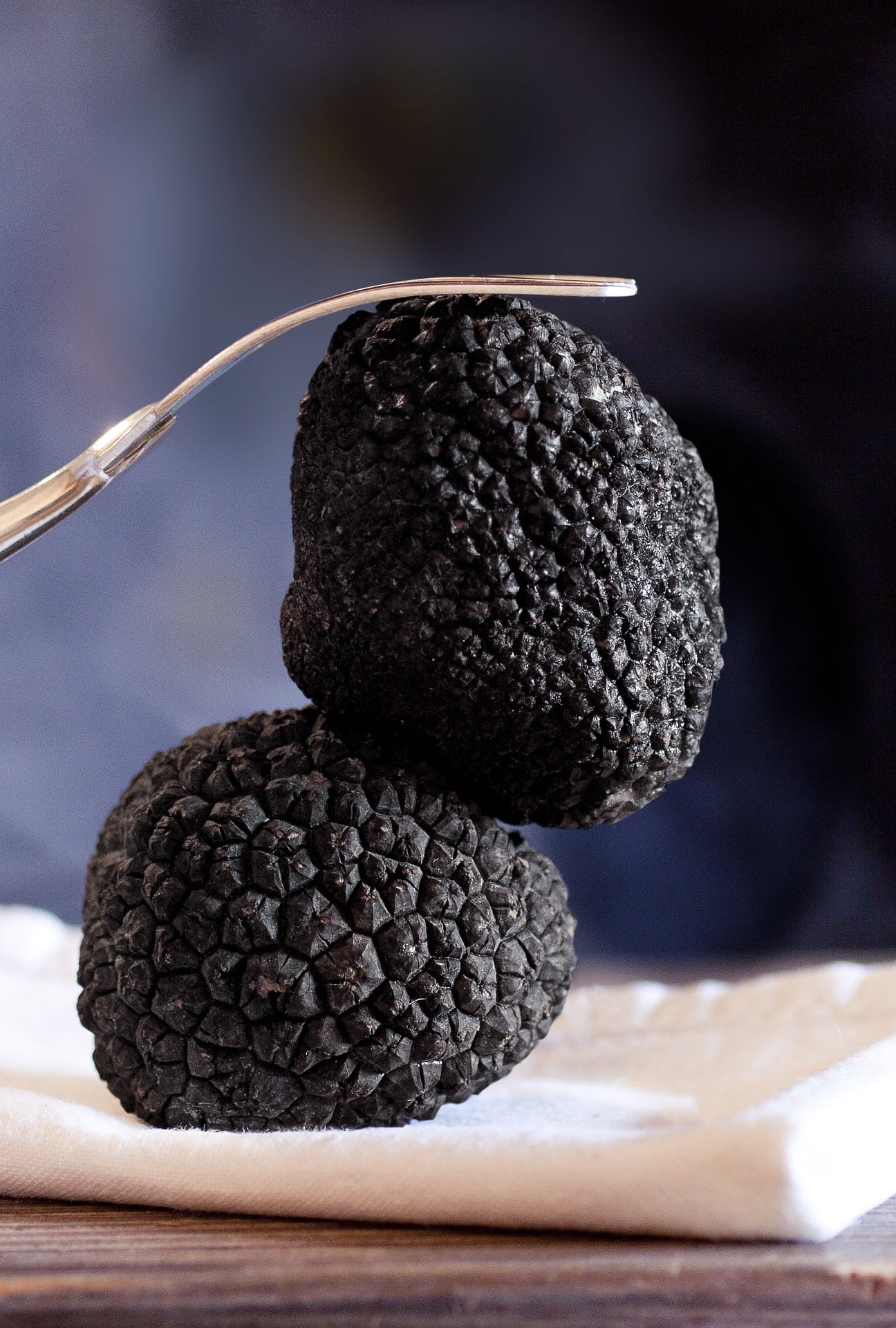 Black truffles are expensive, but worth every bite!