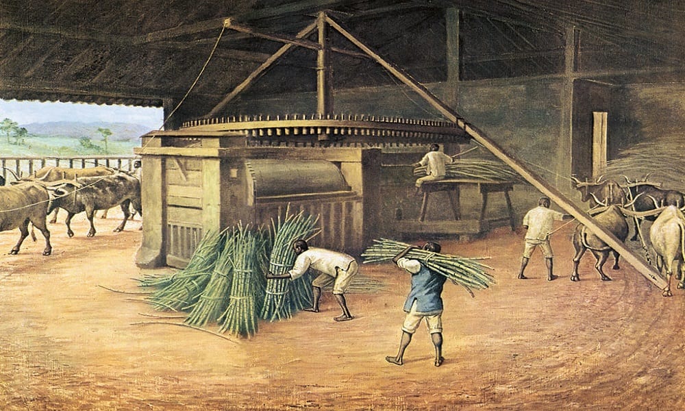 pintura representando um engenho do ciclo do açúcar nordeste brasil