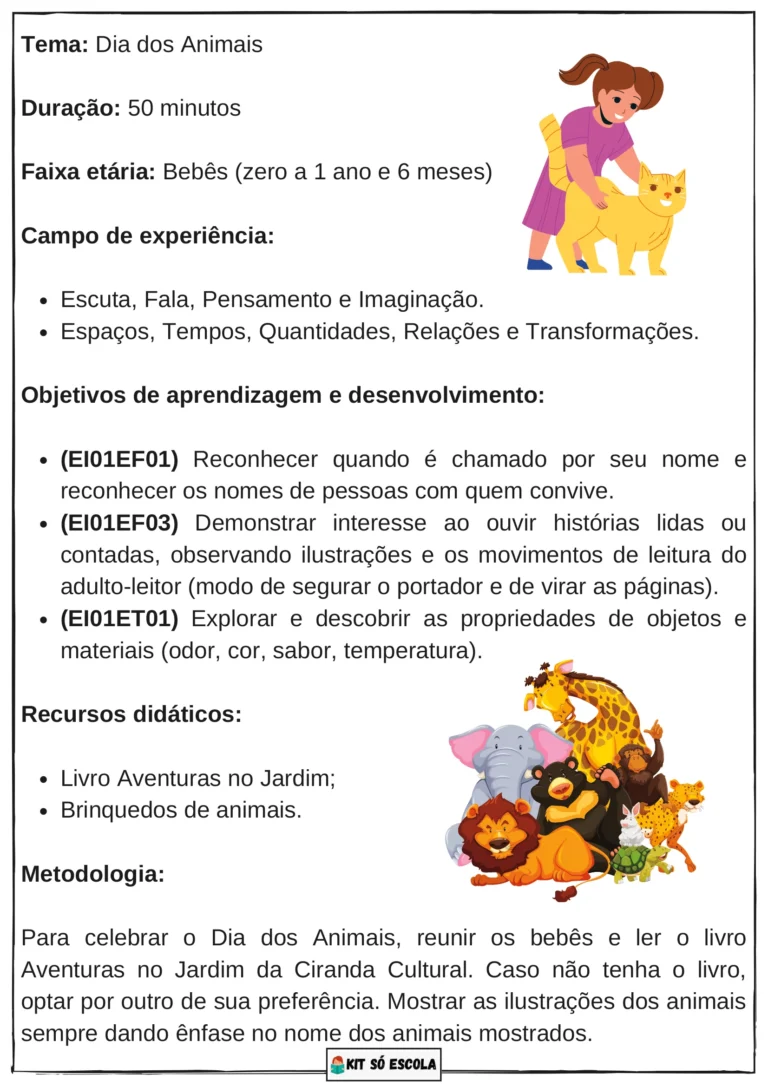 PLANOS-DE-AULA-BNCC-DATAS-COMEMORATIVAS-0-a-1-ano-e-6-meses-KIT-SO-ESCOLA-17.png